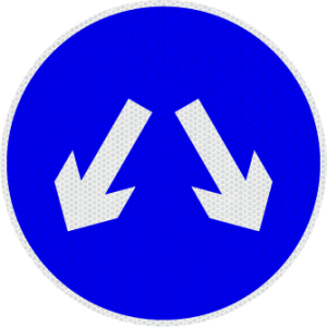 G Signage - PASS EITHER SIDE - Traffic Sign
